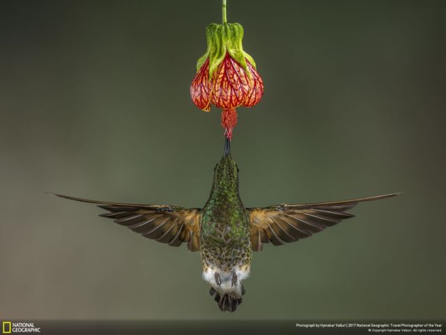 Foto Pemenang NatGeo Travel Photographer Awards. Belajarlah dari Mereka Biar Kualitas Fotomu Juara!