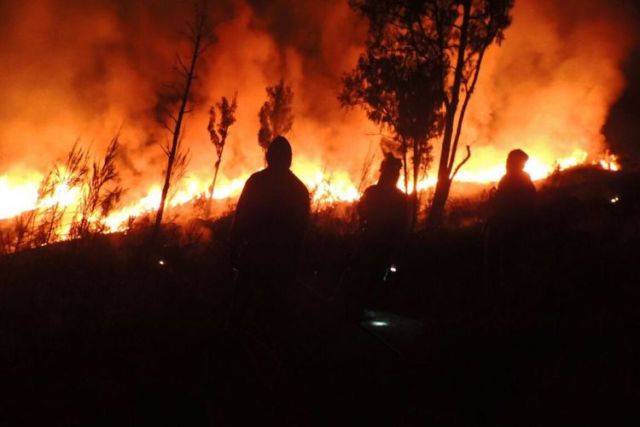 Miris, Hutan di Gunung Rinjani Terbakar Hebat. Diduga Rokok Pendaki lah yang Jadi Penyebabnya!