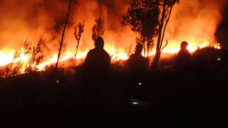 Miris, Hutan di Gunung Rinjani Terbakar Hebat. Diduga Rokok Pendaki lah yang Jadi Penyebabnya!