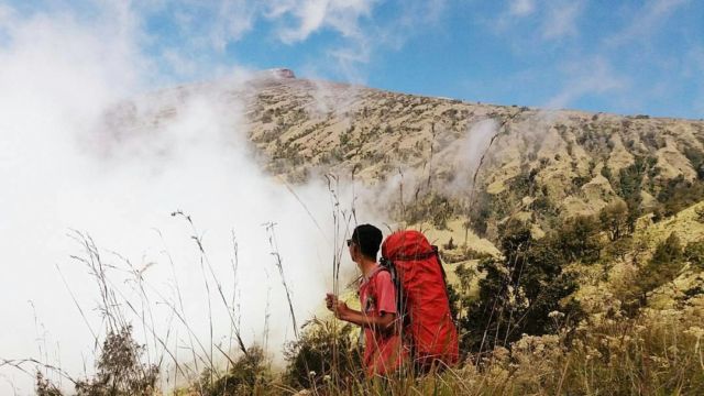 Miris, Hutan di Gunung Rinjani Terbakar Hebat. Diduga Rokok Pendaki lah yang Jadi Penyebabnya!