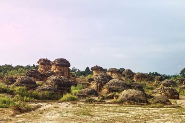 Bukit Jamur, Destinasi Hits di Gresik yang Bikin Kamu Serasa Berada di Negeri Dongeng!