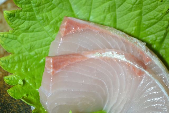 Sashimi Kanpachi