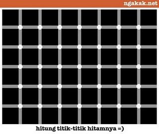 Ada Berapa Titik Hitam Pada Gambar ?