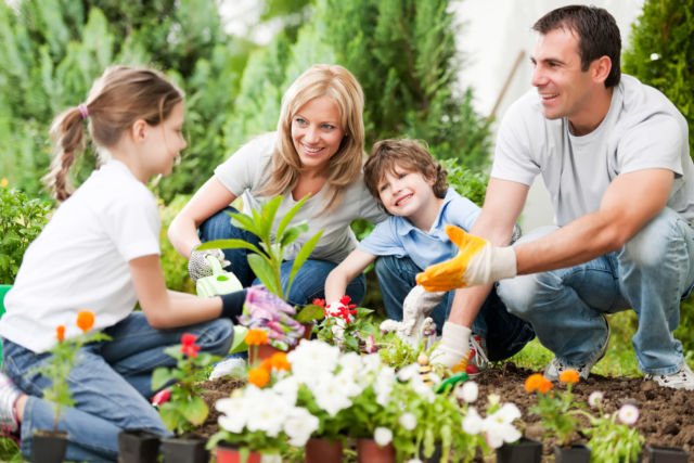 family gardening misalnya