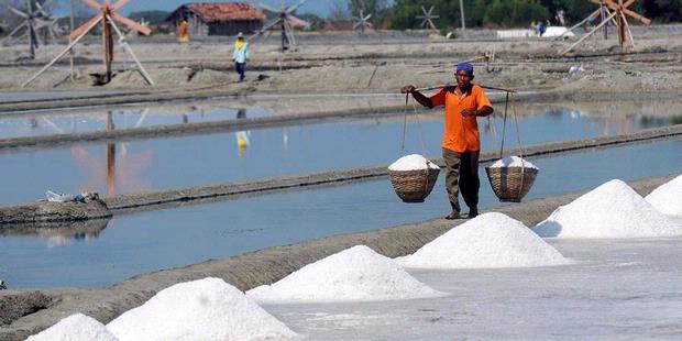 Punya Laut Paling Luas Sedunia, Ini 4 Alasan Kenapa Indonesia Sampai Harus Alami Kelangkaan Garam