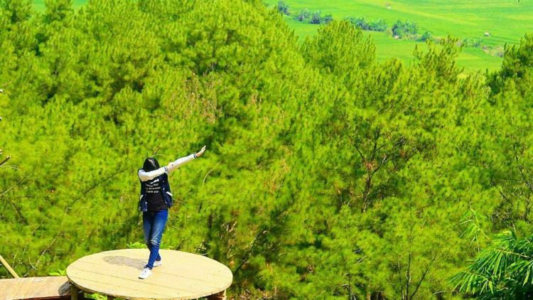 Perkenalkan Hutan Kemit, Destinasi Hits dan Kekinian di Cilacap. Spot Fotonya Keren dan Mantap!