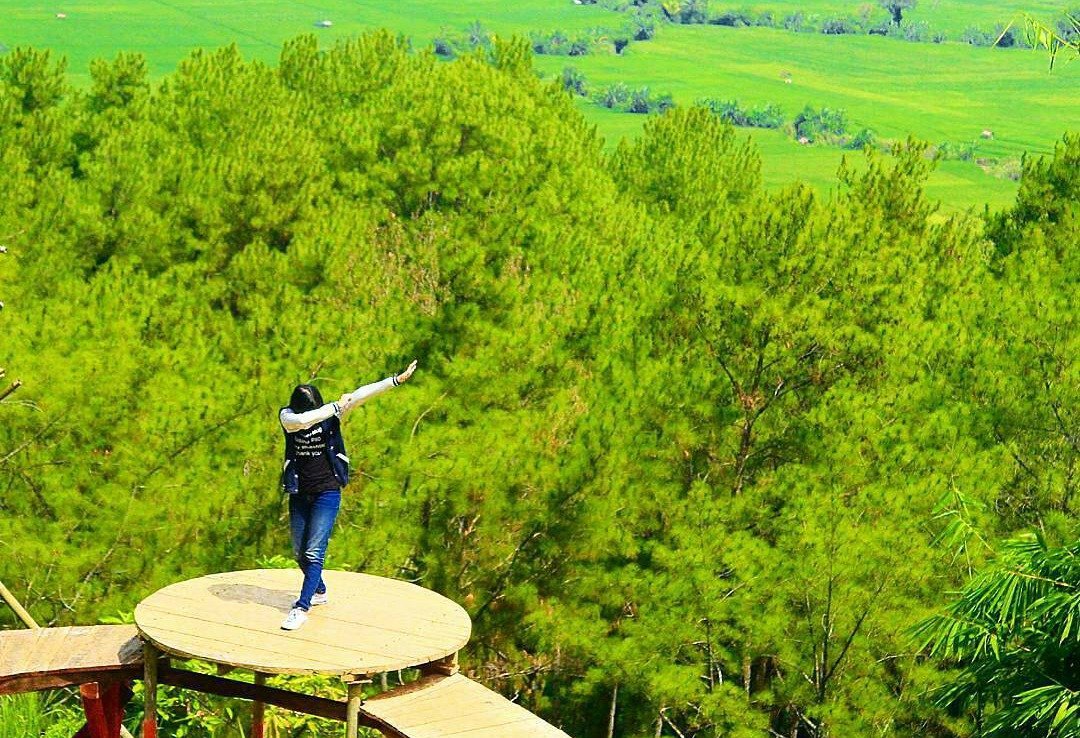 Perkenalkan Hutan Kemit, Destinasi Hits dan Kekinian di Cilacap. Spot Fotonya Keren dan Mantap!