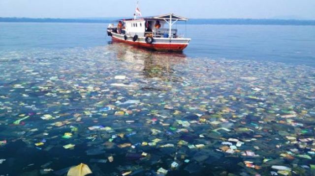 Raisa Kepincut Sama Kontribusi Hamish buat Laut Indonesia. Bener Sih, Kondisi Perairan Kita Darurat