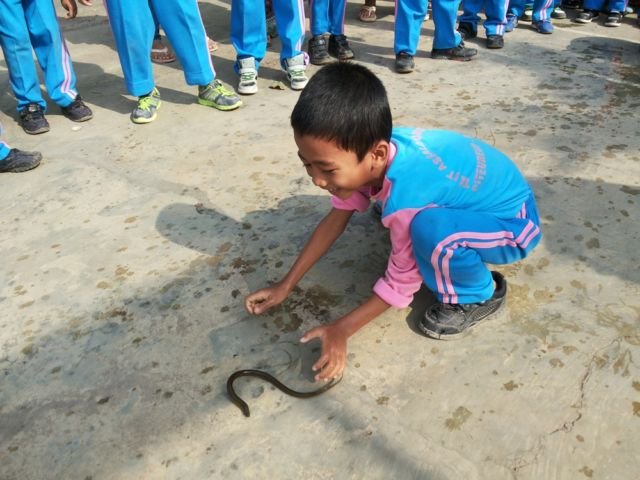 Lomba Menangkap Belut