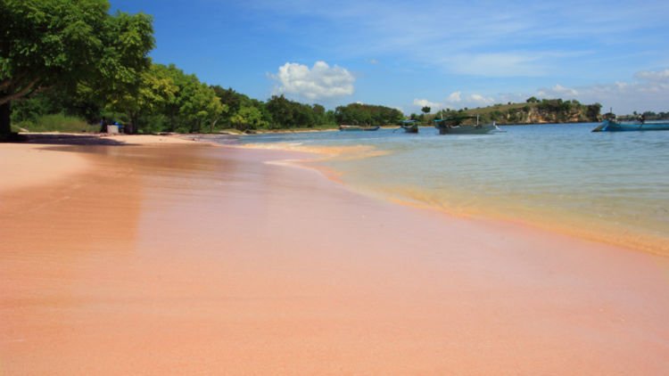 Objek Wisata Unik di Pantai Pink Lombok