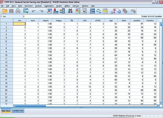 Tampilan SPSS