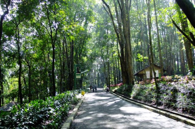 Bingung Nyari Destinasi Liburan Romantis di Bandung? Kamu Wajib Datangi 3 Tempat Ini!