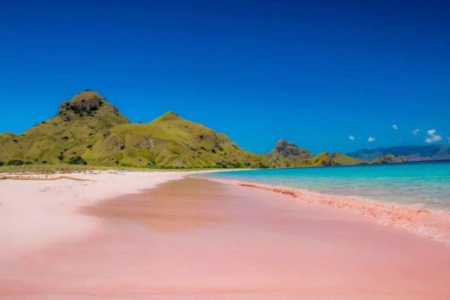 Pantai Pink Lombok Timur