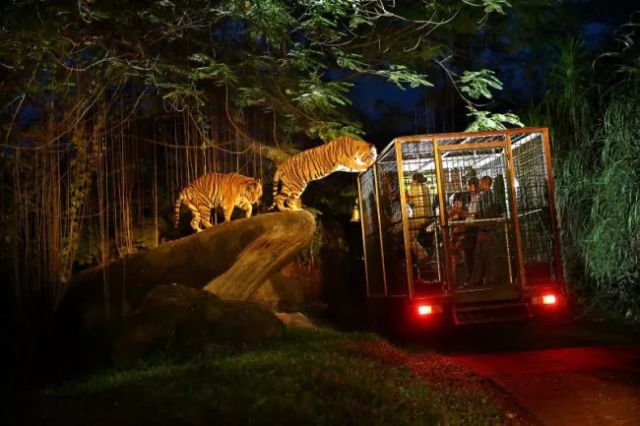 8 Hotel Unik di Bali yang Bikin Kamu Enggan Pulang. Cocok Dinikmati Bersama Pasangan