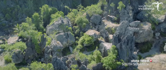 Stone Forest