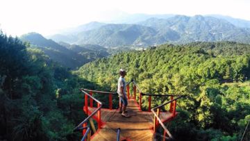 Rumah Pohon Pabangbon, Destinasi Wisata Kekinian di Bogor yang Pesonanya Juara!