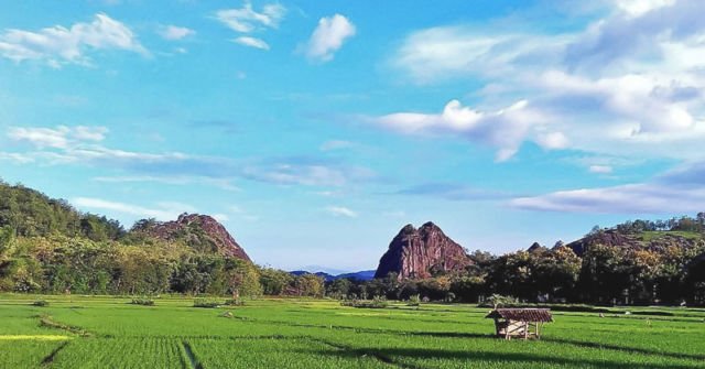 Hamparan sawah di sisi barat Gunung Sepikul