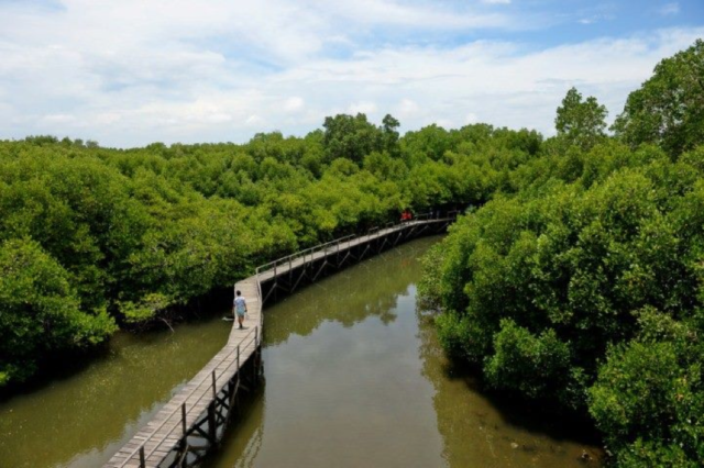 Saat Kamu Bosan Dengan Gerahnya Surabaya, Yuk Kunjungi Wisata Alam Indah yang Ada di Sana!