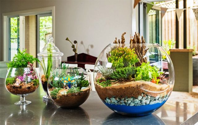 Terrarium cantik dan unik