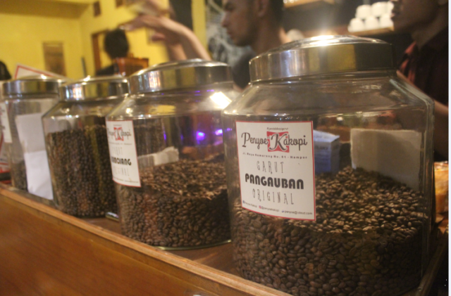 Kopi Arabika Pangauban