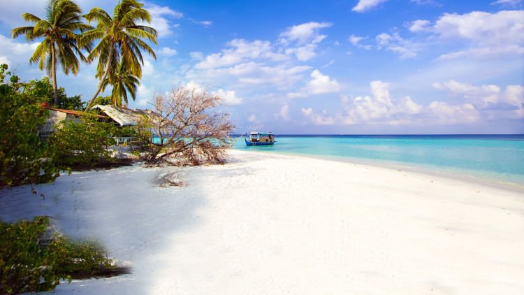 Taman Nasional di Pulau Jawa yang Harus Kamu Kunjungi!