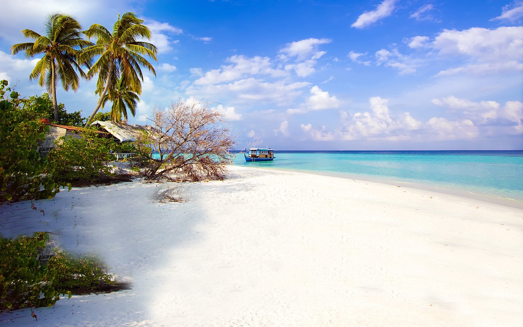 Taman Nasional di Pulau Jawa yang Harus Kamu Kunjungi!