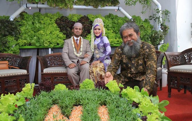 Bukan Hanya Viral Buat Dekor Nikah, Ini 11 Alasan Kenapa Kamu Wajib Tahu Soal Hidroponik