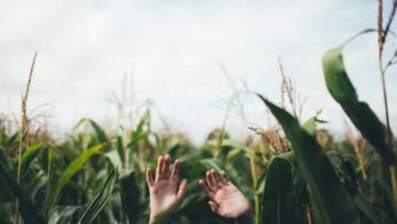 Kuliah di Pertanian Nggak Semudah Main ‘Harvest Moon’. Apalagi Pas Cari Kerja, Beuh!