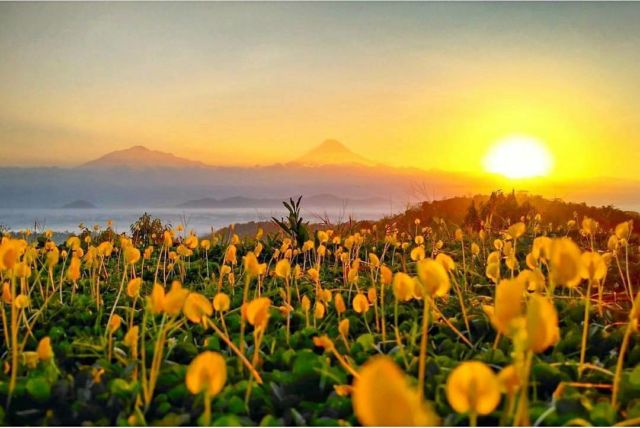 5 Spot Anti Mainstream Buat Menikmati Sunrise di Kulon Progo, Jogja. Buat Stock Instagram Nih!