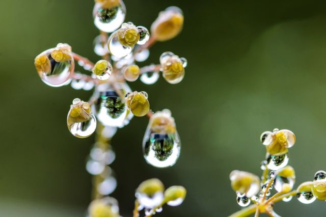 Biar Foto di Instagram Makin Keren, Kamu Bisa Coba Trik Tetesan Air di Foto Kamu!