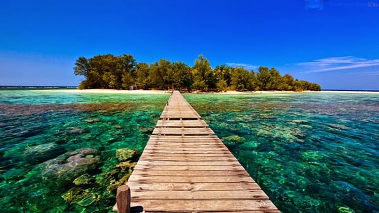 5 Destinasi Tersembunyi di Karimunjawa yang Bikin Kamu Pengen Segera ke Sana