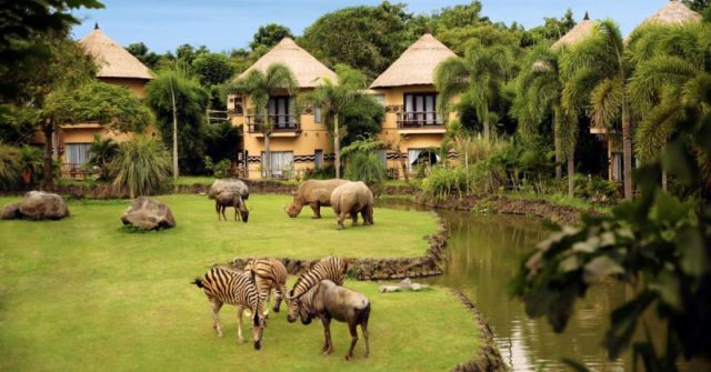 8 Hotel Unik di Bali yang Bikin Kamu Enggan Pulang. Cocok Dinikmati Bersama Pasangan