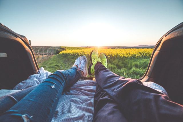 2-people-sitting-with-view-of-yellow-flowers-during-daytime