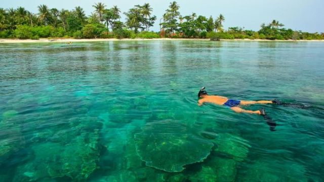 Menikmati keindahan bawah laut Pulau Tunda