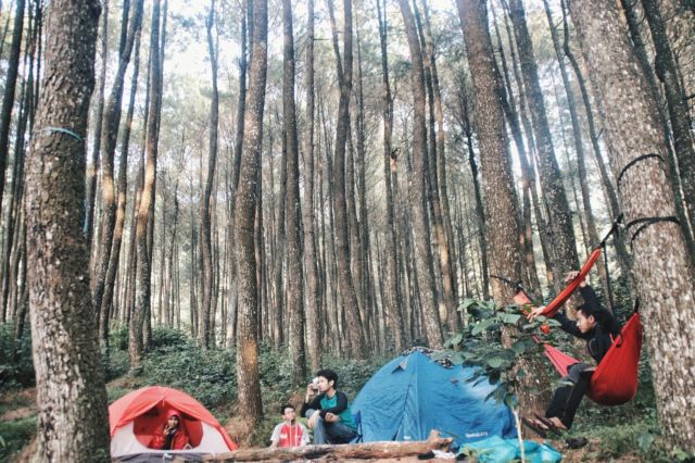 wisata di bogor selain puncak