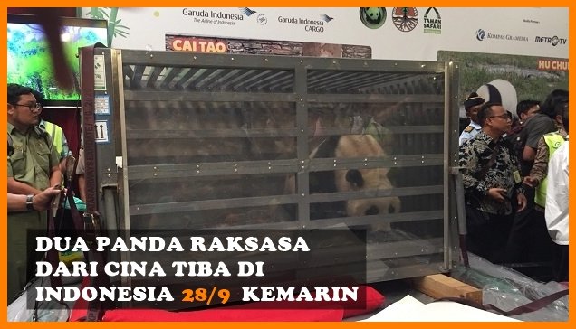 Dari Peternakan Bayi Sampai Boneka Nikita Mirzani, Berikut Sederet Berita Populer Minggu Ini