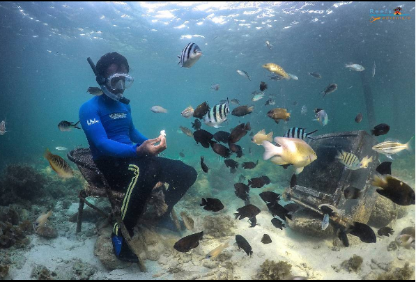 pemandangan bawah laut Pulau Petong