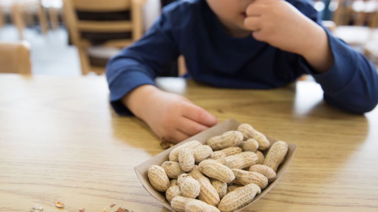 Alergi Pada Anak: Tidaklah Sulit Menyiapkan Bekal Mereka