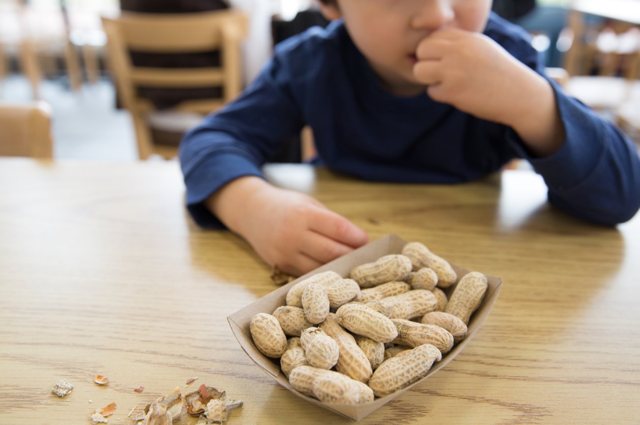 Alergi Pada Anak: Tidaklah Sulit Menyiapkan Bekal Mereka