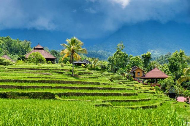 Pesona Ubud Bali