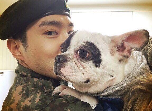 Bugsy, Anjing Siwon Suju Gigit CEO Restoran Hingga Meninggal