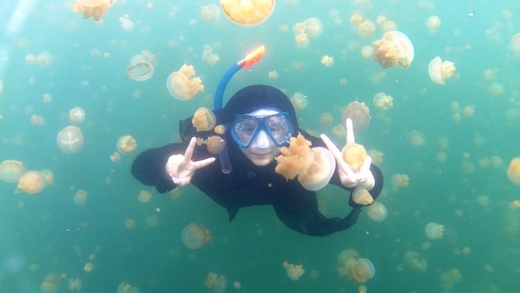 Sekali Seumur Hidup Kamu Harus ke Pulau Derawan dan Renang sama Ubur-ubur, Ini Bocoran Budgetnya!