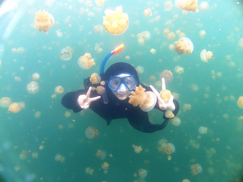 Sekali Seumur Hidup Kamu Harus ke Pulau Derawan dan Renang sama Ubur-ubur, Ini Bocoran Budgetnya!