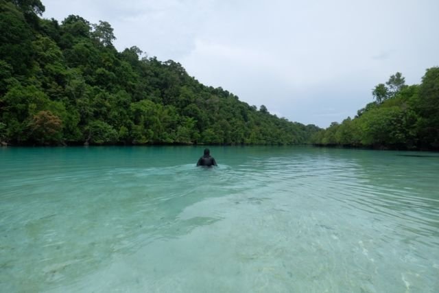 Sekali Seumur Hidup Kamu Harus ke Pulau Derawan dan Renang sama Ubur-ubur, Ini Bocoran Budgetnya!