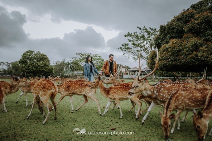 Membahas A-Z Pre-Wedding Kahiyang dan Bobby. Penasaran 'Kan Kenapa Bisa Cucok Meong Begini?