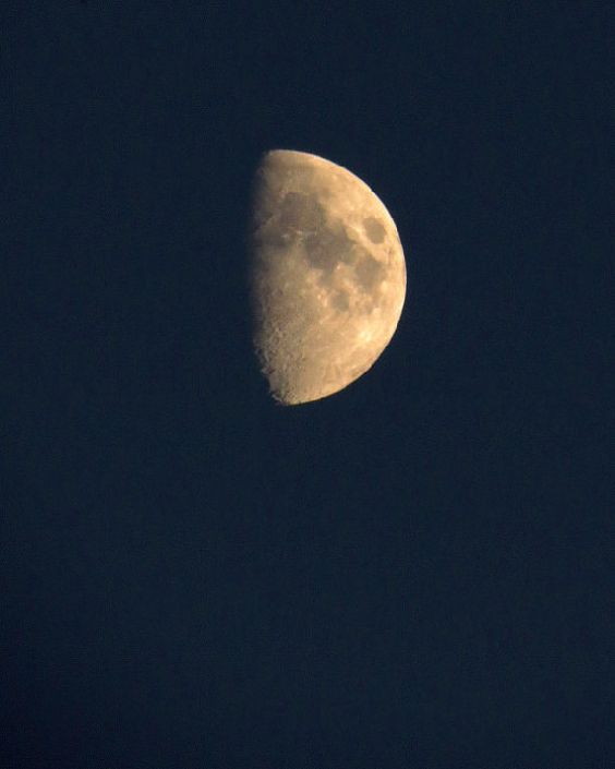 Half moon