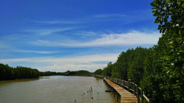 Wisata Mangrove Demang Gedi, Purworejo