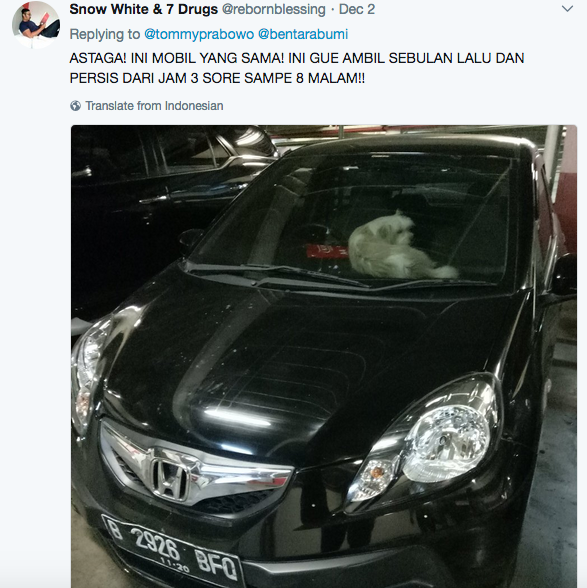 Warganet Lain Juga Pernah Pergoki Valent Ditinggal dalam Mobil. Anjing Ini Emang Perlu Diselamatkan!