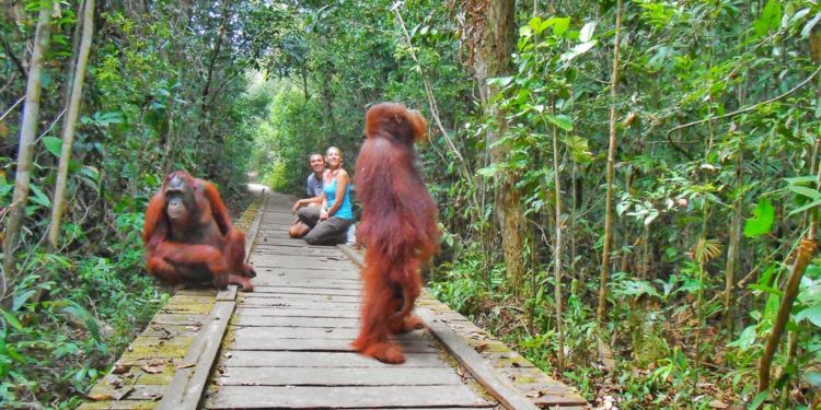 9 Surga Tersembunyi yang Bisa Kamu Kunjungi Bersama Pasangan. Indah, Seru dan Mengagumkan!