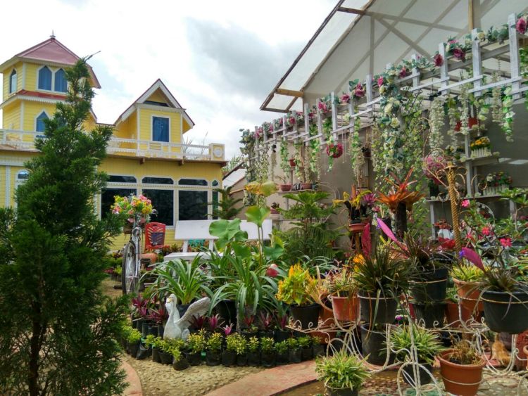 Green House Lezatta, Destinasi Kekinian dan Warna-warni yang Bikin Enggan Pulang!